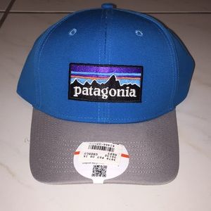Patagonia SnapBack